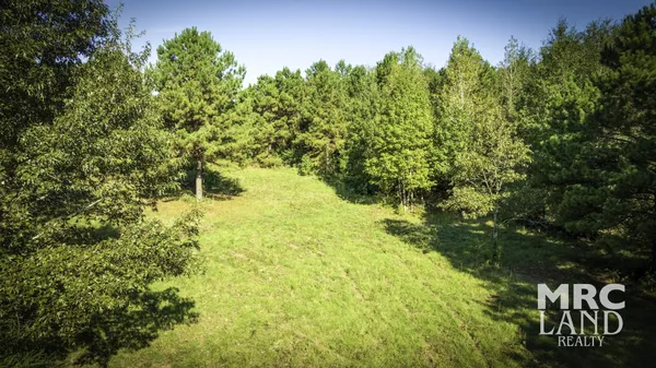 $99,700 | 0 County Road 3366, Tenaha, TX 75974