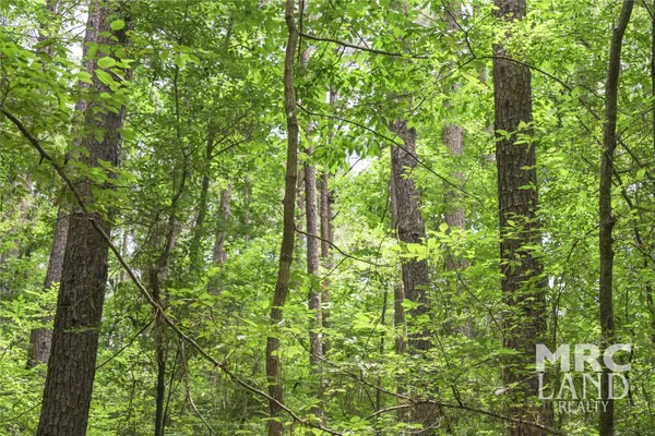 $99,700 | 0 County Road 3366, Tenaha, TX 75974