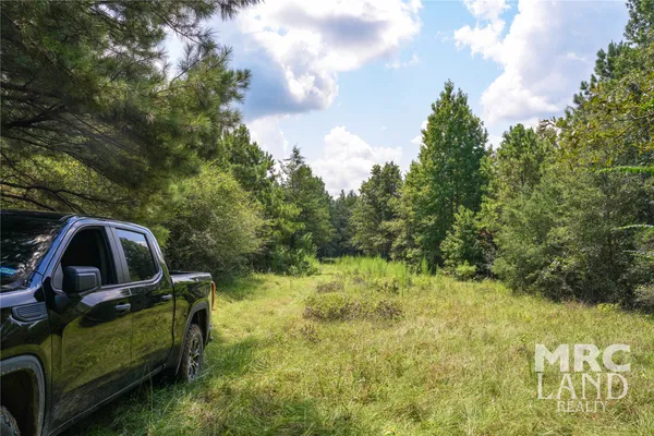 $99,700 | 0 County Road 3366, Tenaha, TX 75974