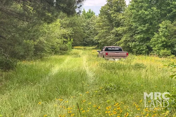 a view of outdoor space with deck and yard