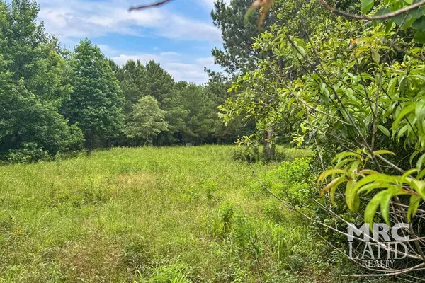 a view of a big yard with plants and a small yard
