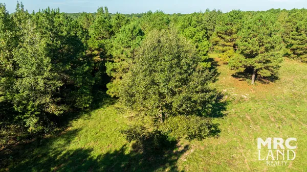 a view of a green field with lots of bushes