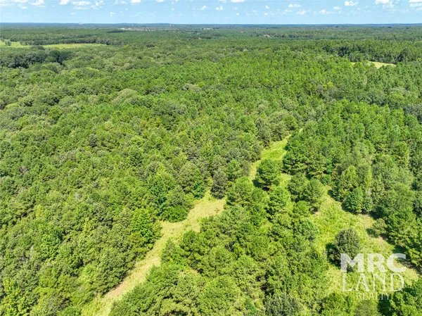 a view of a yard with an outdoor space