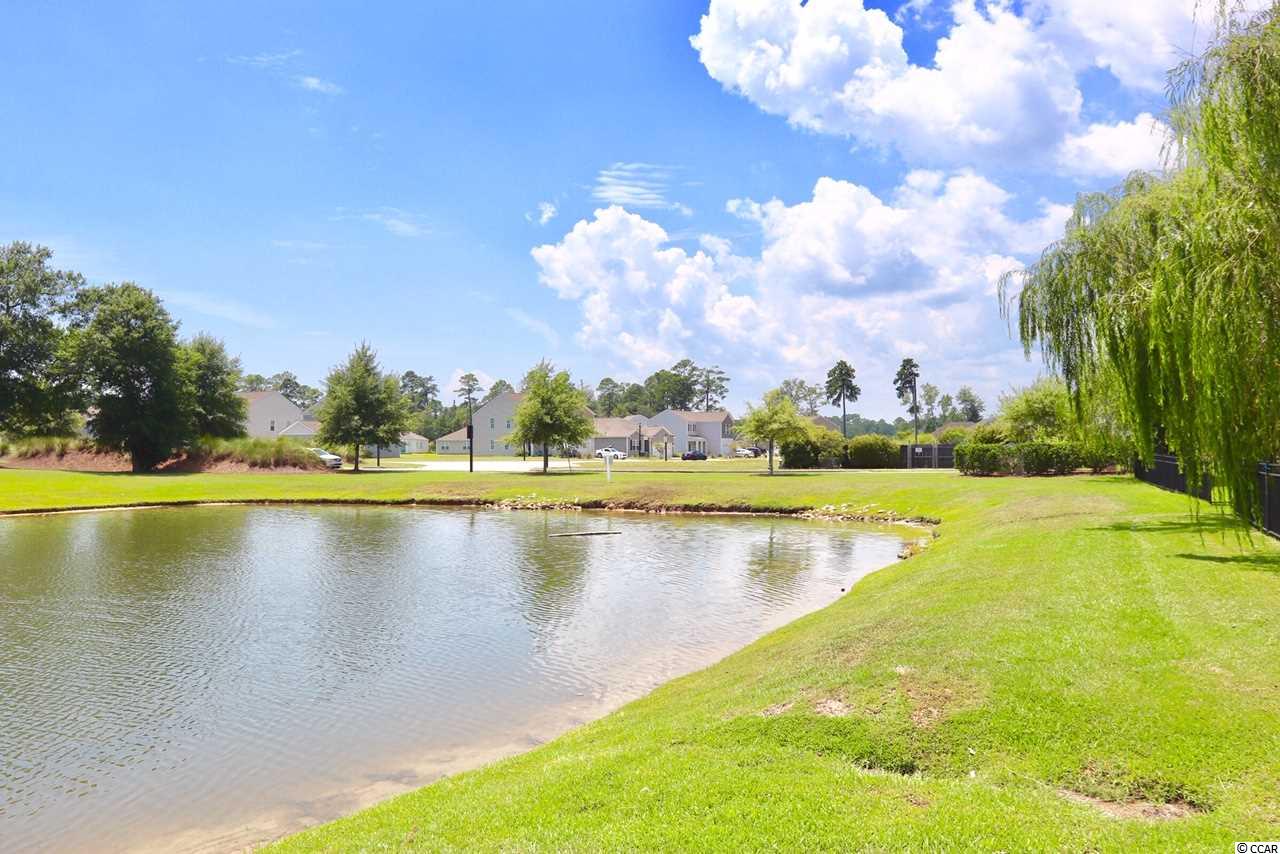 173 Powder Springs Loop Myrtle Beach, SC 29588 - Photo 8 of 35 Gallery Image 8