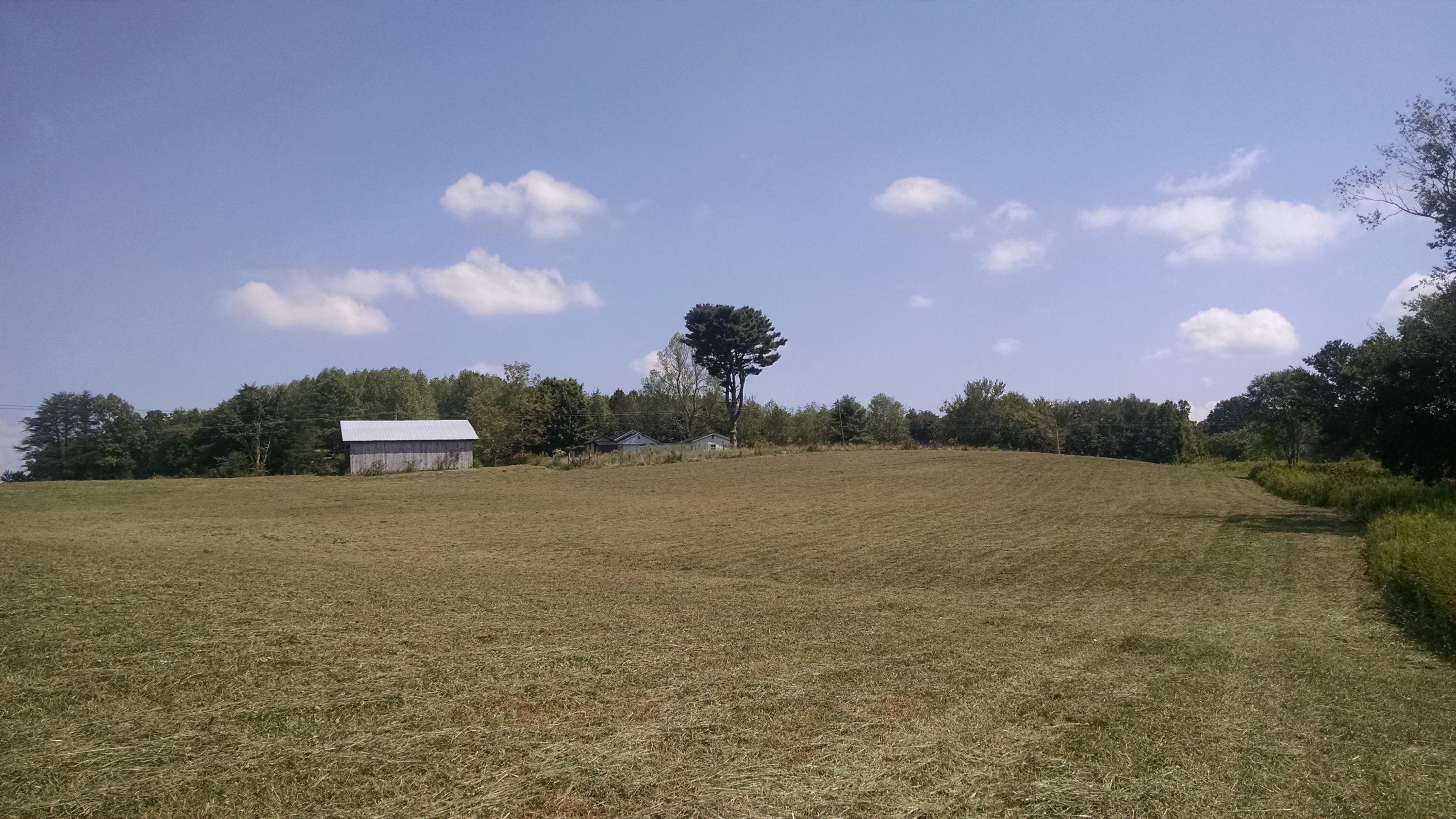 9124 Griffith Road Pikeville, TN 37367 - Photo 1 of 4 IMG_20160830_111503838