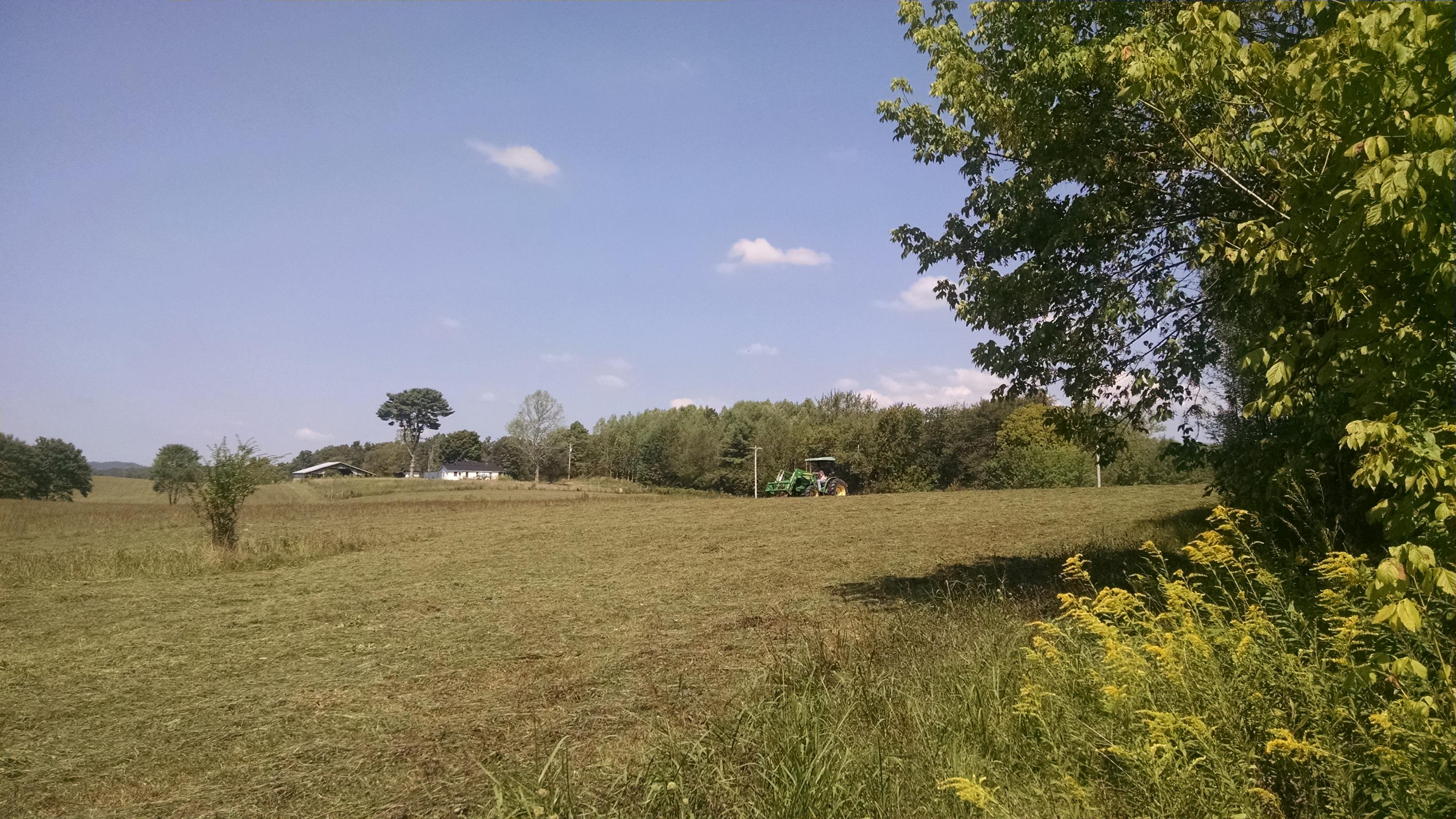 9124 Griffith Road Pikeville, TN 37367 - Photo 3 of 4 IMG_20160830_111922937