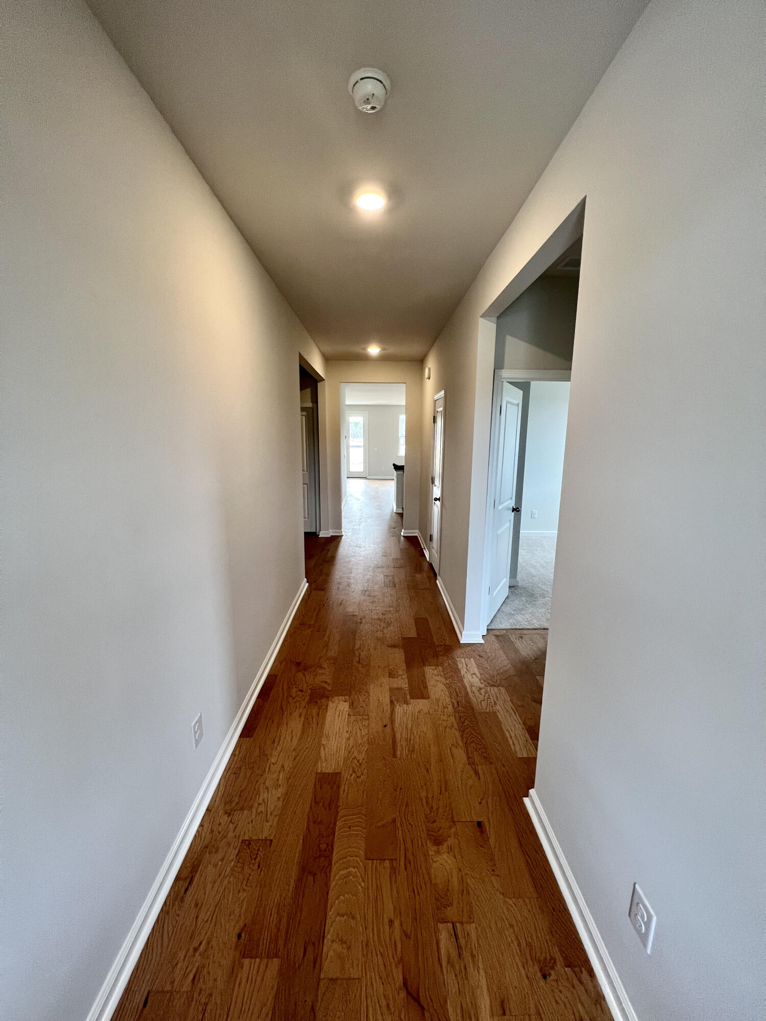 219 Silver Crk Drive Huger, SC 29450 - Photo 4 of 28 Hall way