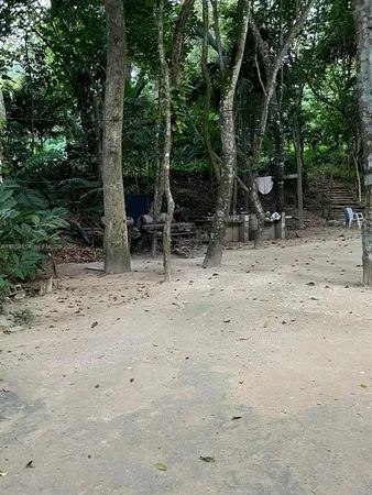 a view of backyard with green space and seating area
