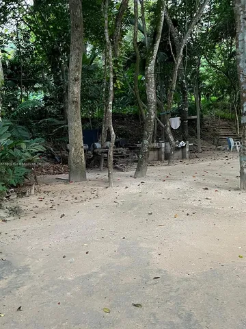 a view of backyard with green space and seating area