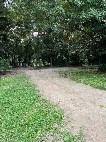 a view of a yard with a trees