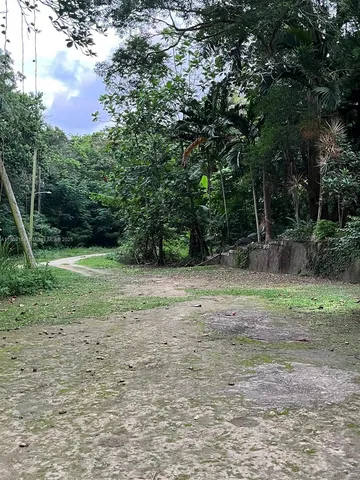 a view of outdoor space with trees all around