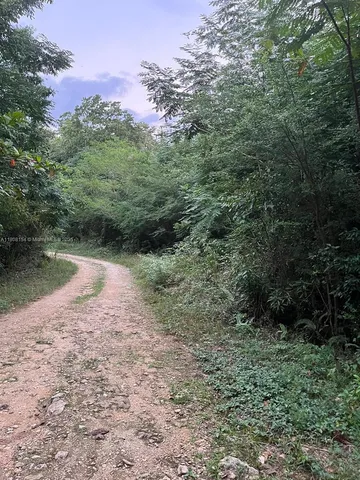 a view of a lake with a forest