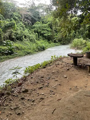 a view of a backyard of the house