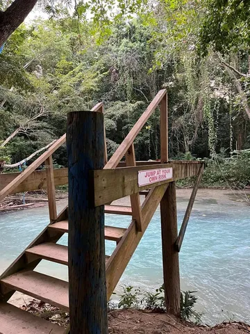 a view of a roof deck with wooden fence and a couple of potted plants