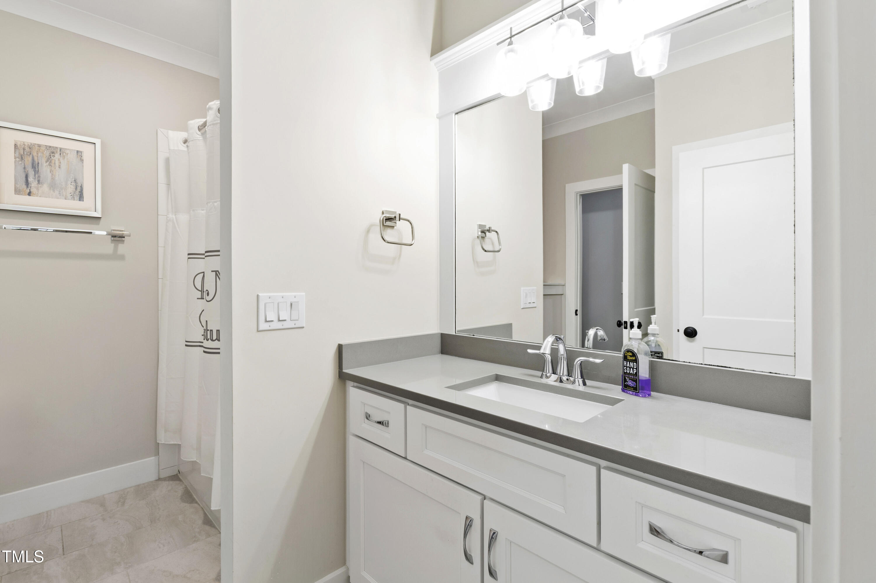 713 Brownwich Street Wake Forest, NC 27587 - Photo 50 of 78 a bathroom with a sink and a mirror