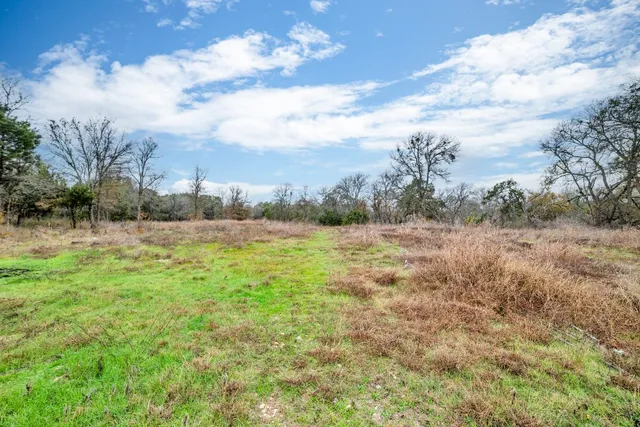 a view of a yard with a tree