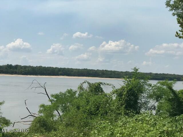 0 Jackson Point Road Woodville, MS 39669 - Photo 5 of 7 IMG_2599