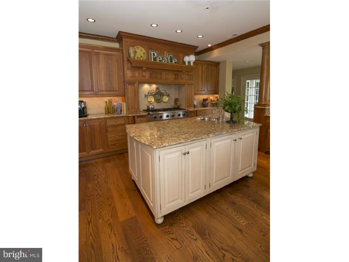 3875 Ruckman Way Doylestown, PA 18902 - Photo 12 of 24 Kitchen