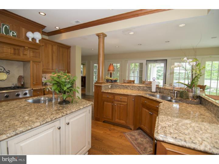 3875 Ruckman Way Doylestown, PA 18902 - Photo 9 of 24 Kitchen