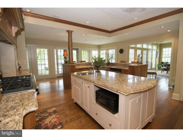 3875 Ruckman Way Doylestown, PA 18902 - Photo 10 of 24 Kitchen