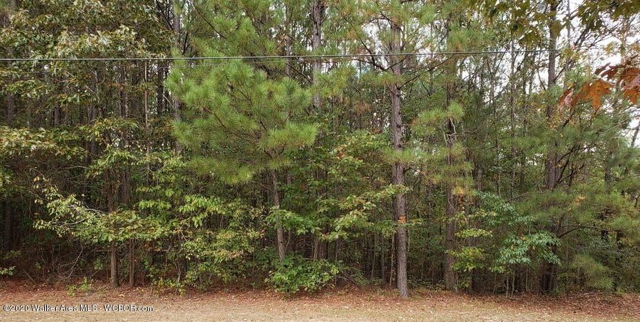 12 Arrowhead Road Jasper, AL 35503 - Photo 4 of 16 Gallery Image 4