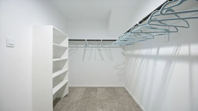 a view of an empty walk in closet