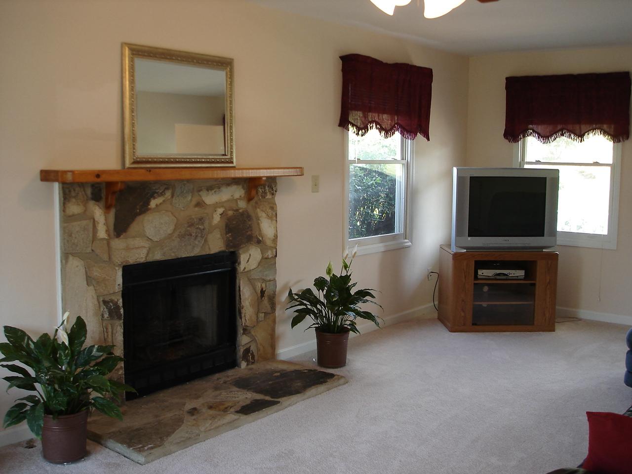 249 McIntosh Road Roanoke, VA 24019 - Photo 9 of 10 DEN WITH FIREPLACE