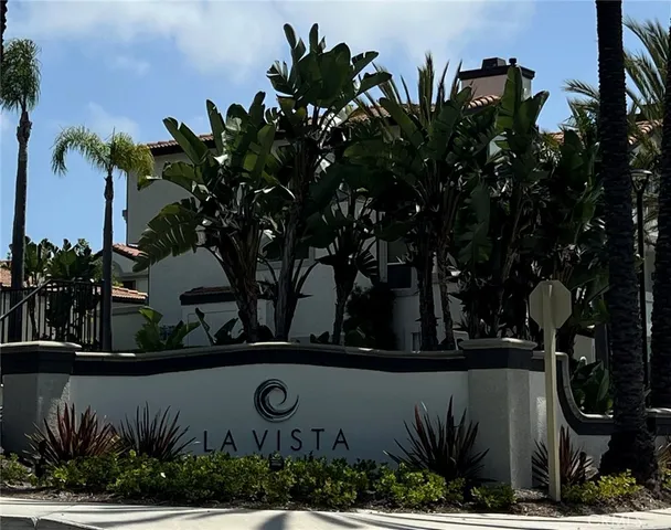 a view of a palm trees