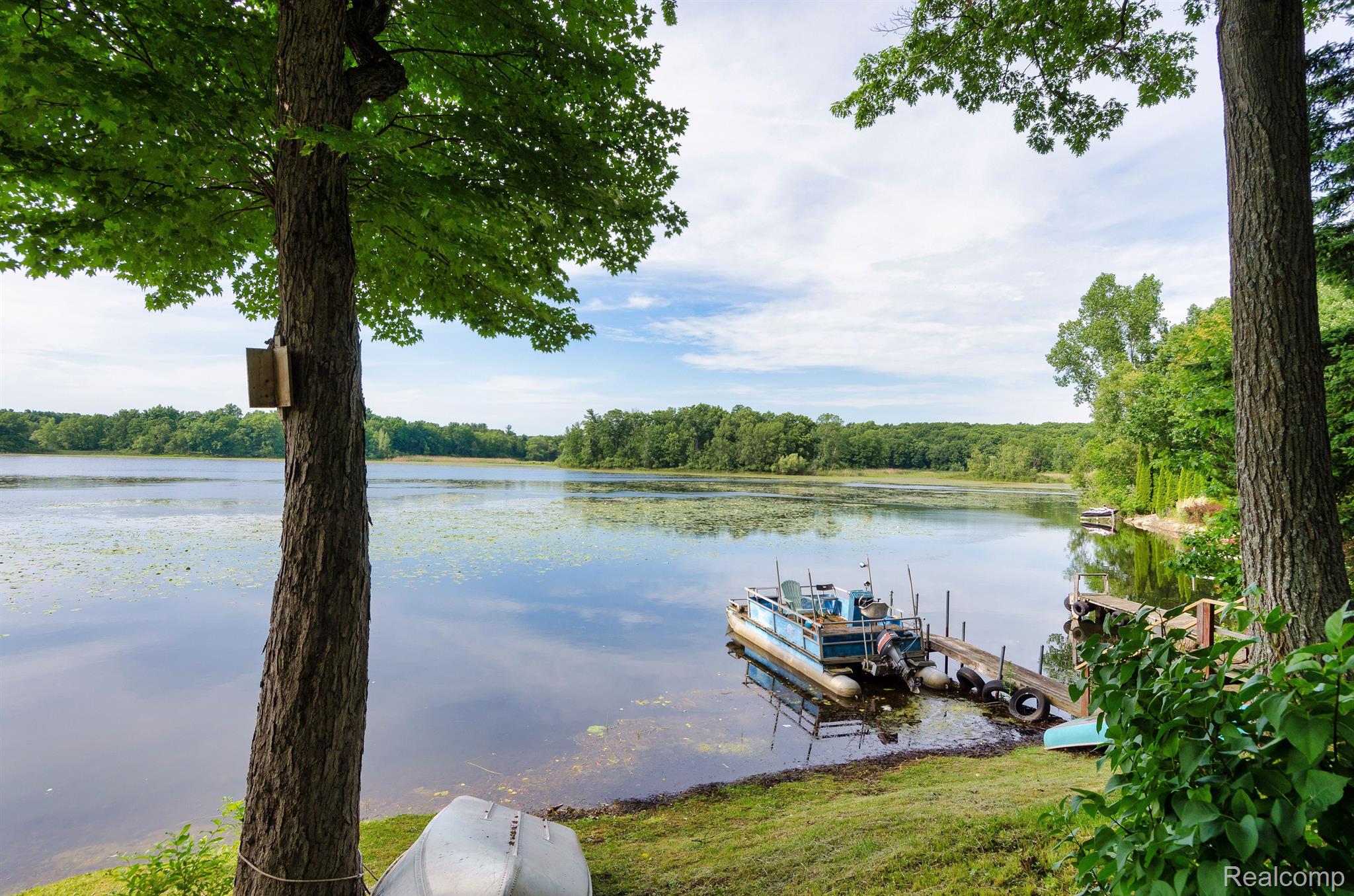 5335 Wayne Rd - Grass Lake frontage.