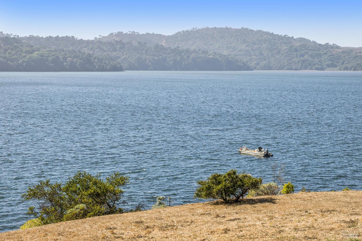 17523 Highway 1 Marshall, CA 94940 - Photo 49 of 72 a view of a dry yard with trees
