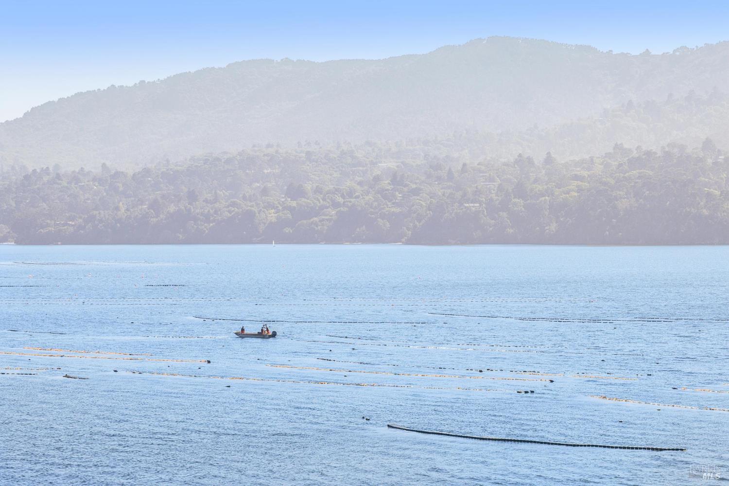 17523 Highway 1 Marshall, CA 94940 - Photo 50 of 72