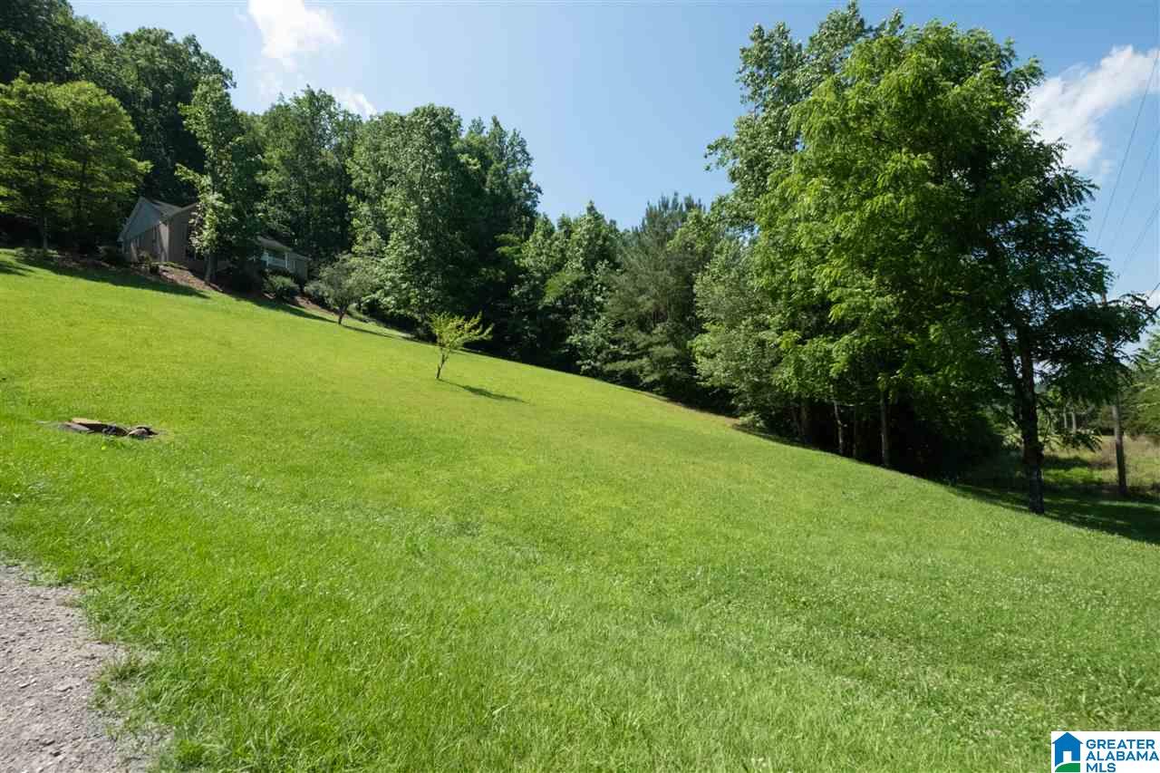 5625 Miles Spring Road Pinson, AL 35126 - Photo 5 of 35 Gallery Image 5
