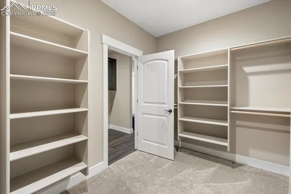 a view of an empty walk in closet