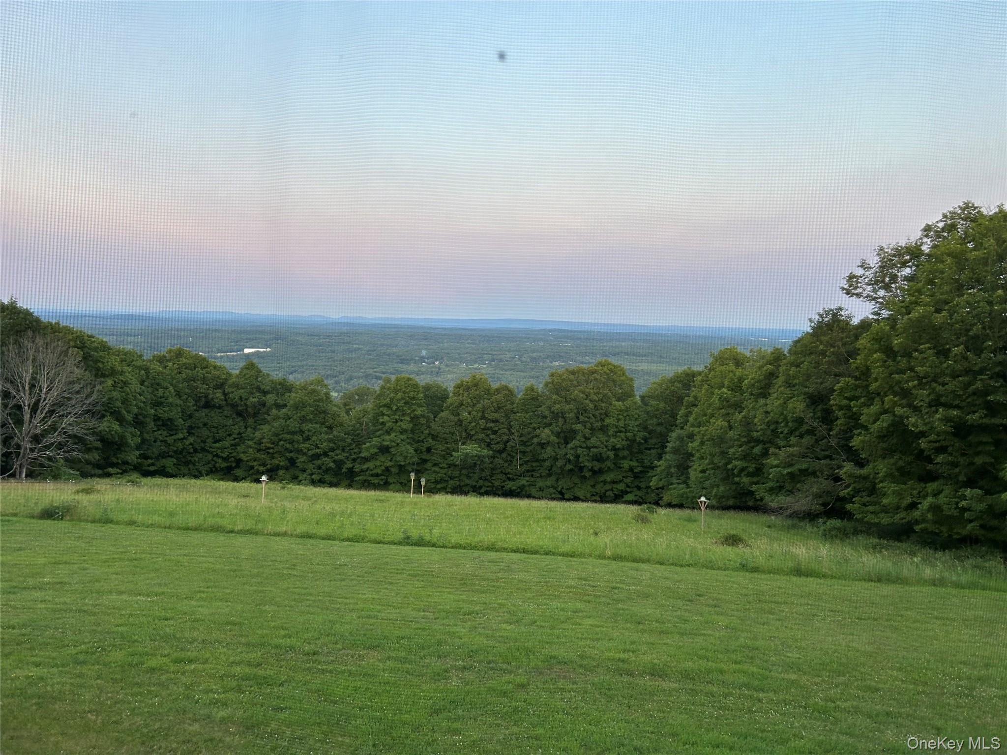 329 Mountain Road Bloomingburg, NY 12721 - Photo 6 of 20