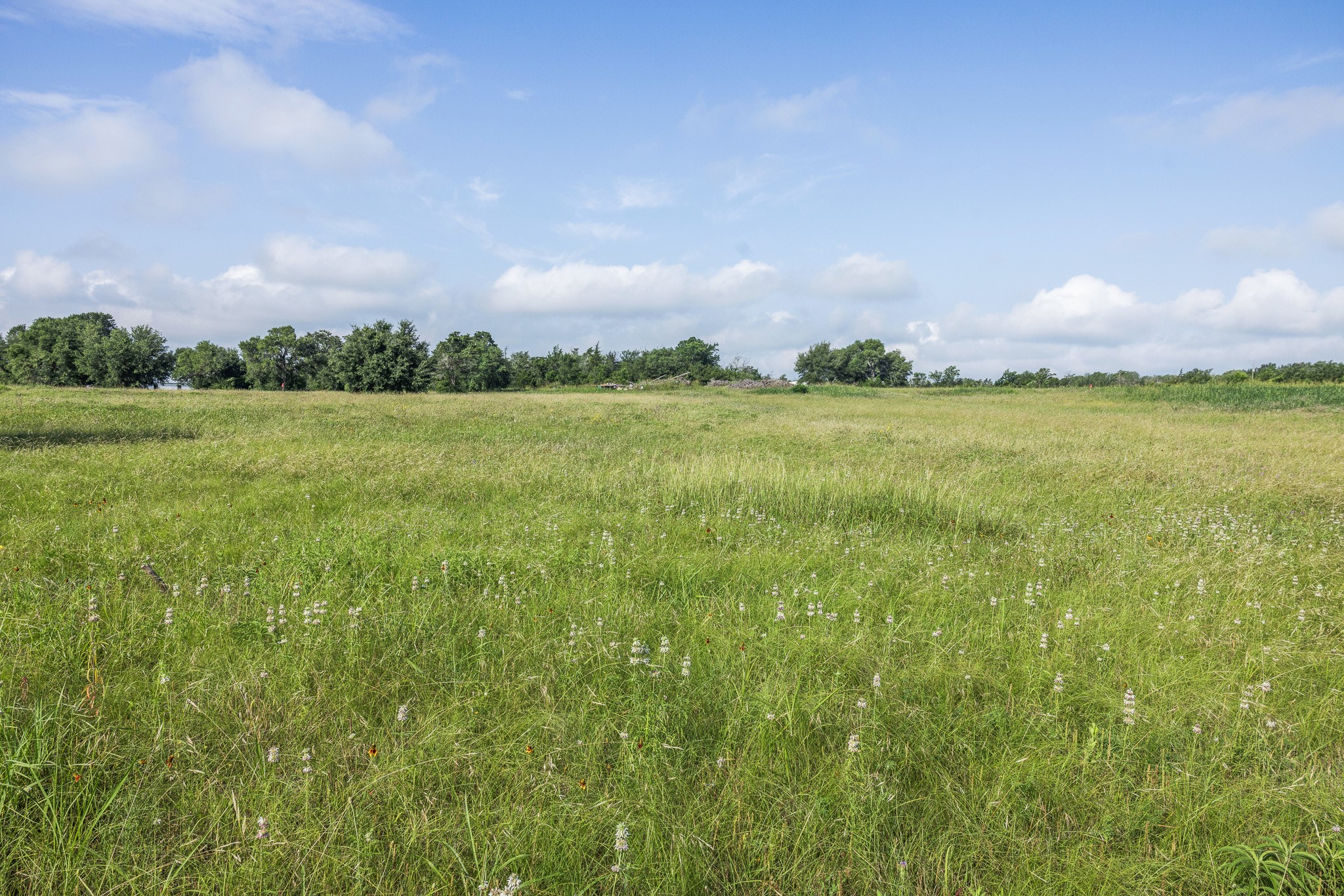 109 Compound Lane Round Top, TX 78954 - Photo 16 of 20 a view of a green field with houses in back