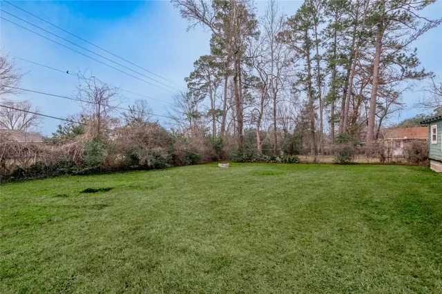 a view of a yard with large tree