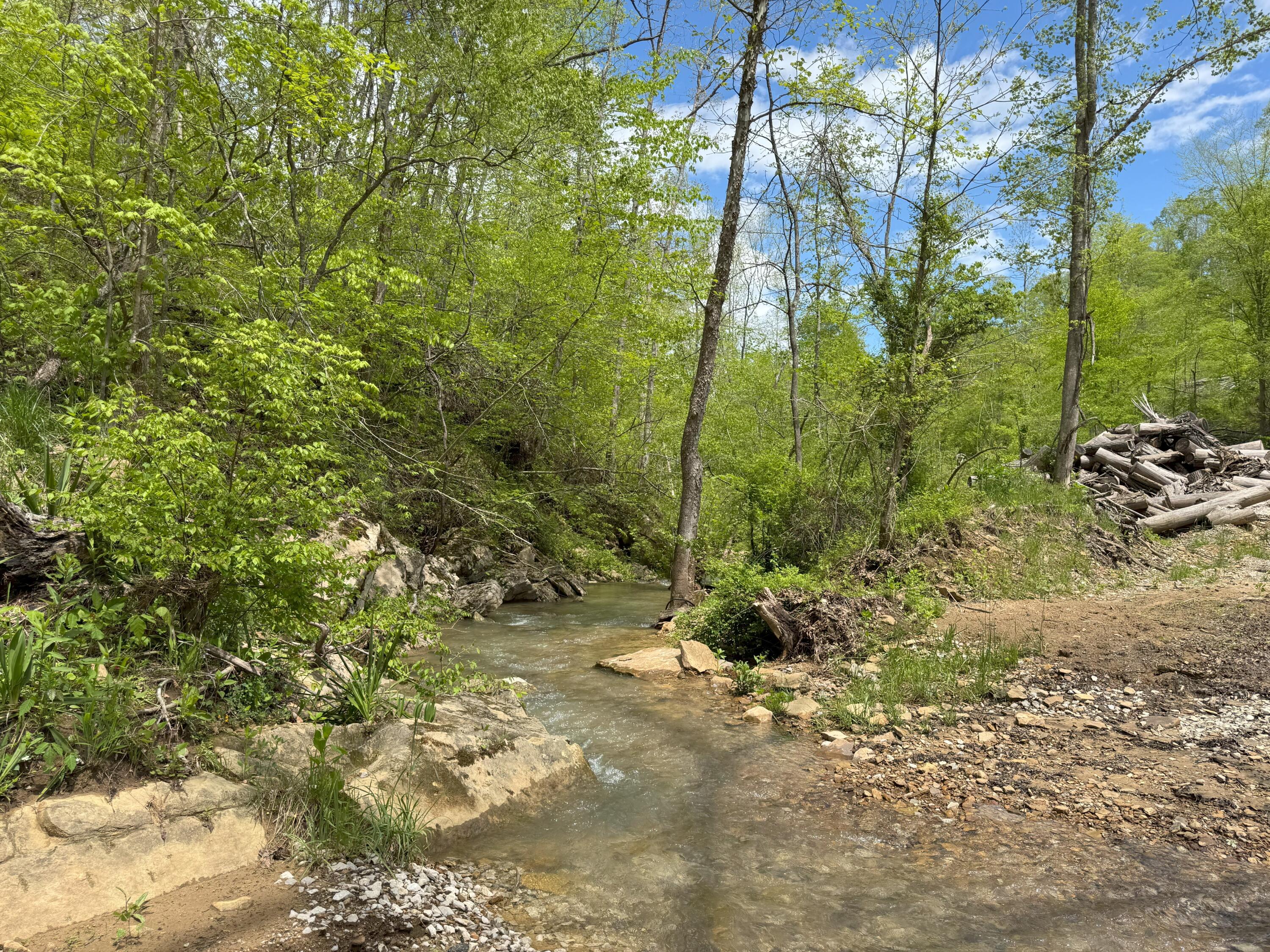 9999 Wind Cave Road McKee, KY 40447 - Photo 5 of 27 Creek