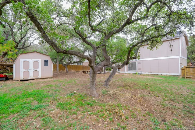 a view of a backyard with plants and a yard