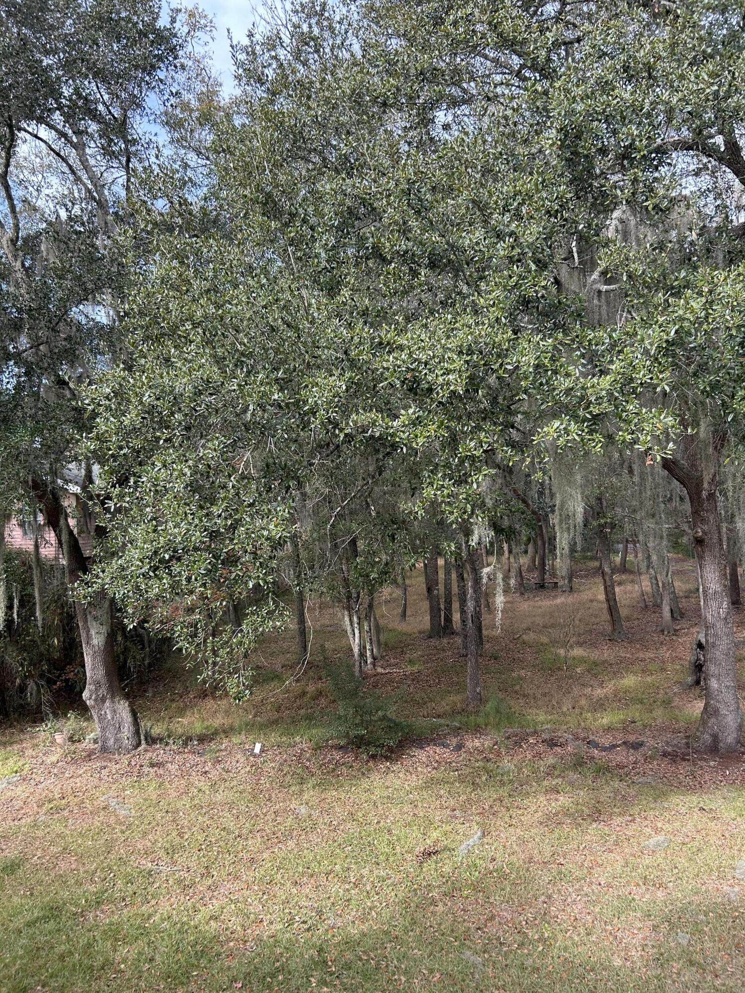 154 Fripp Point Road St. Helena Island, SC 29920 - Photo 16 of 29 IMG_6077