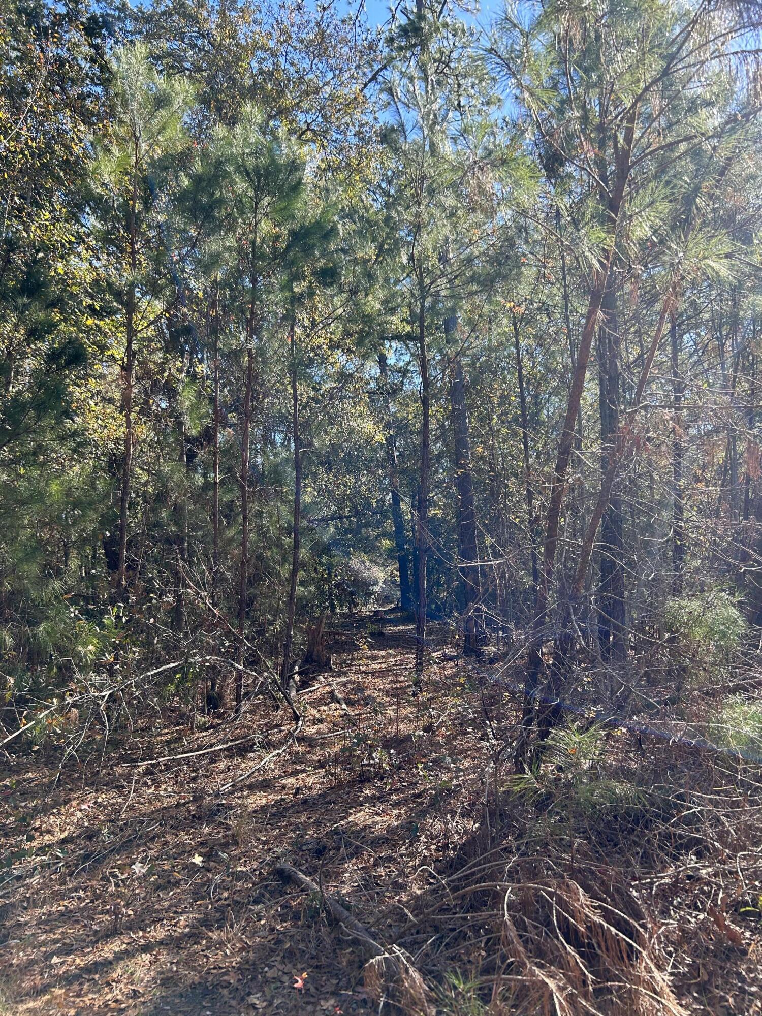 154 Fripp Point Road St. Helena Island, SC 29920 - Photo 20 of 29 IMG_6255