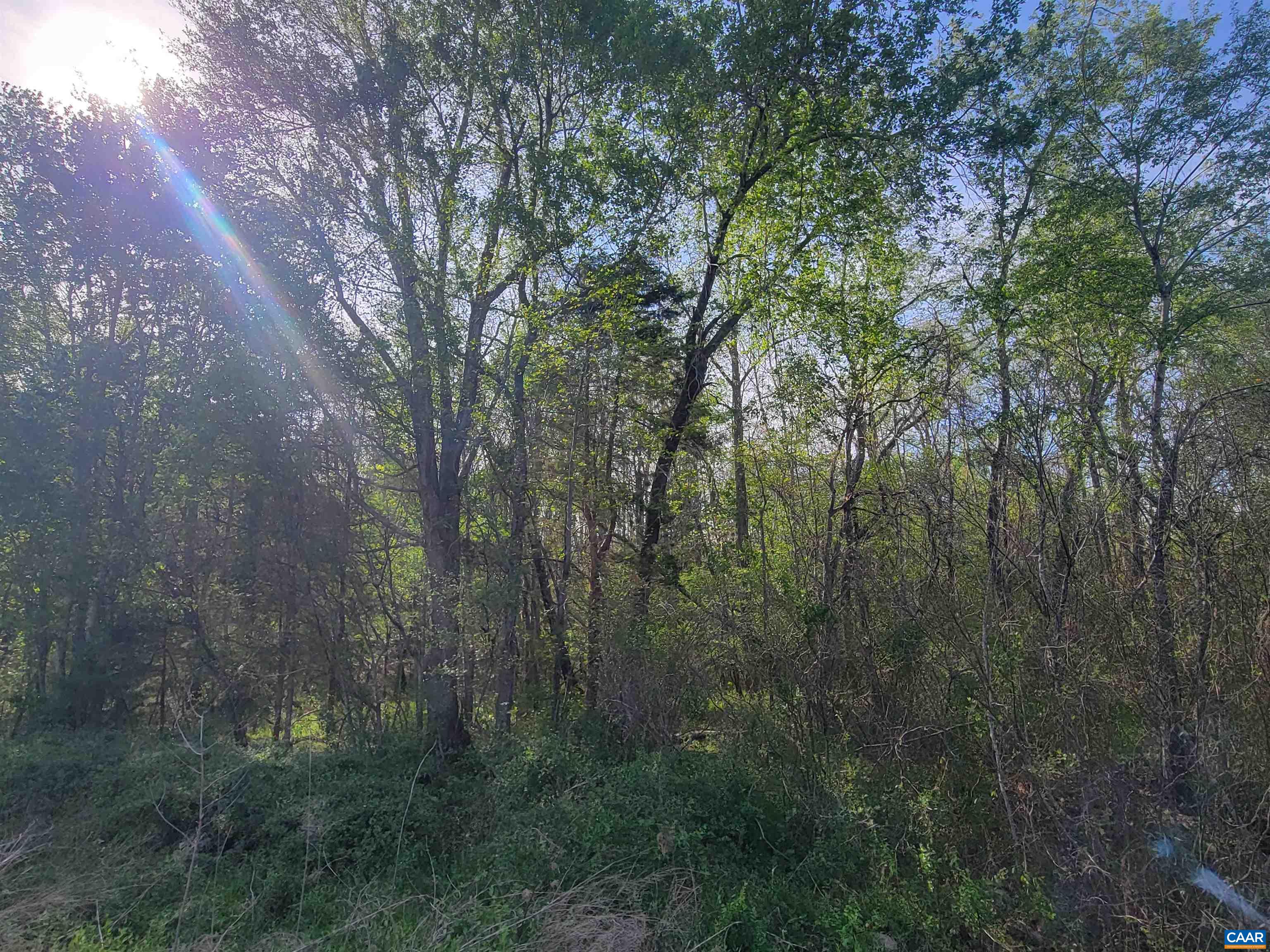 13.3-ac Glade Road Shipman, VA 22971 - Photo 6 of 9 Mixed Hardwoods