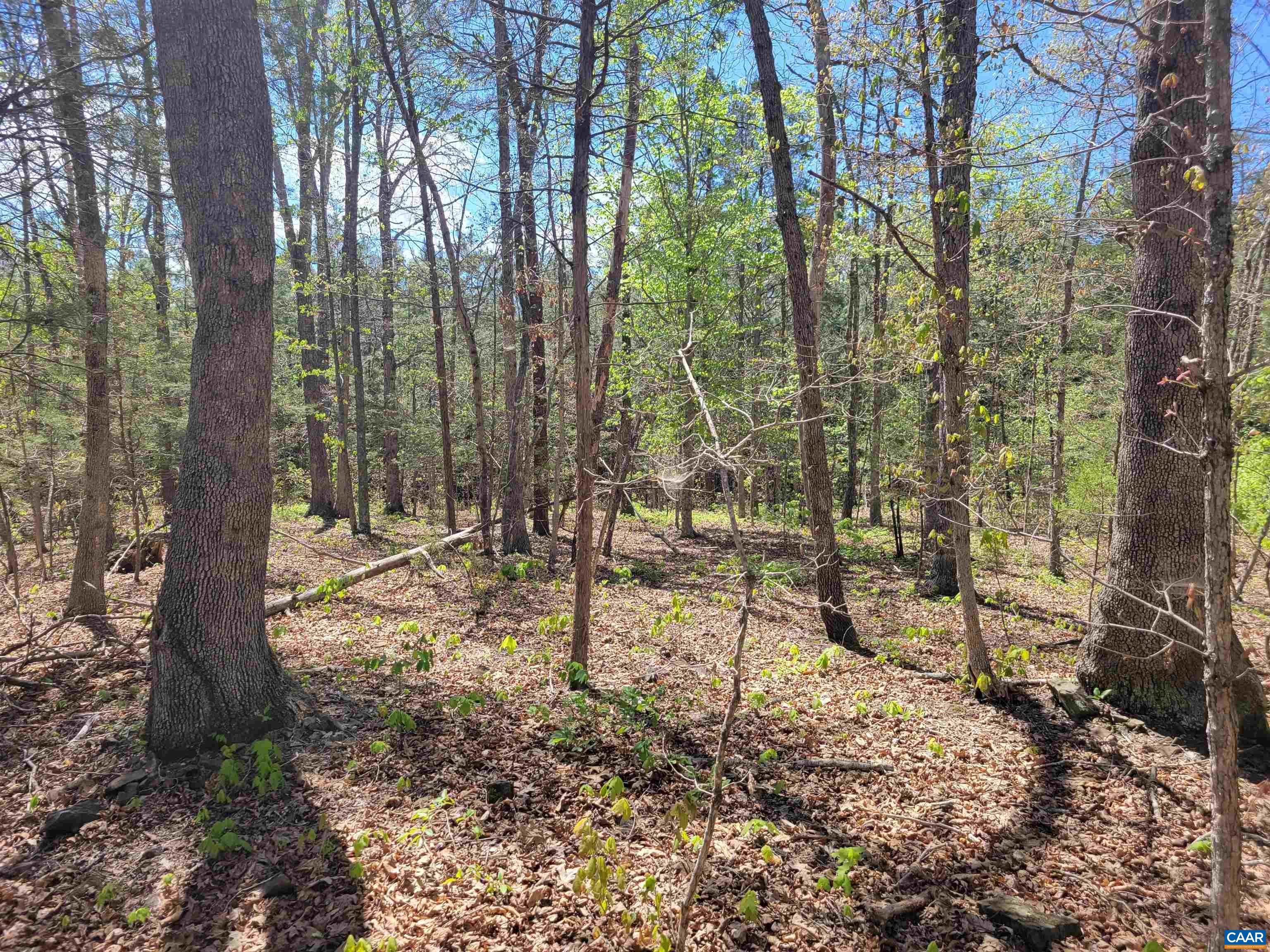 13.3-ac Glade Road Shipman, VA 22971 - Photo 8 of 9 Here's a spot..