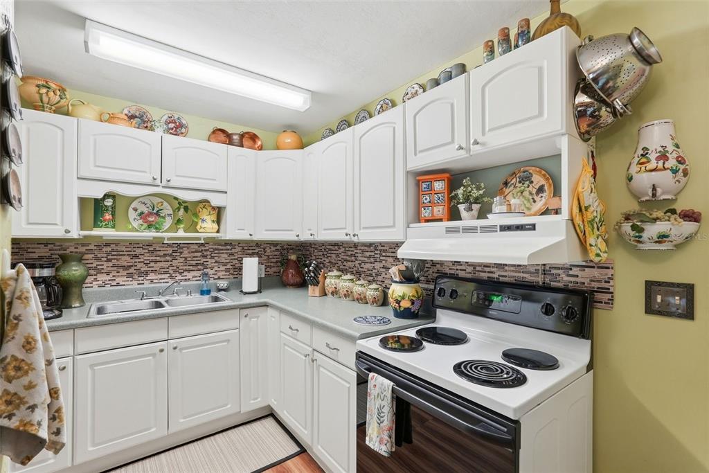 4570 Haines Road North St. Petersburg, FL 33714 - Photo 7 of 29