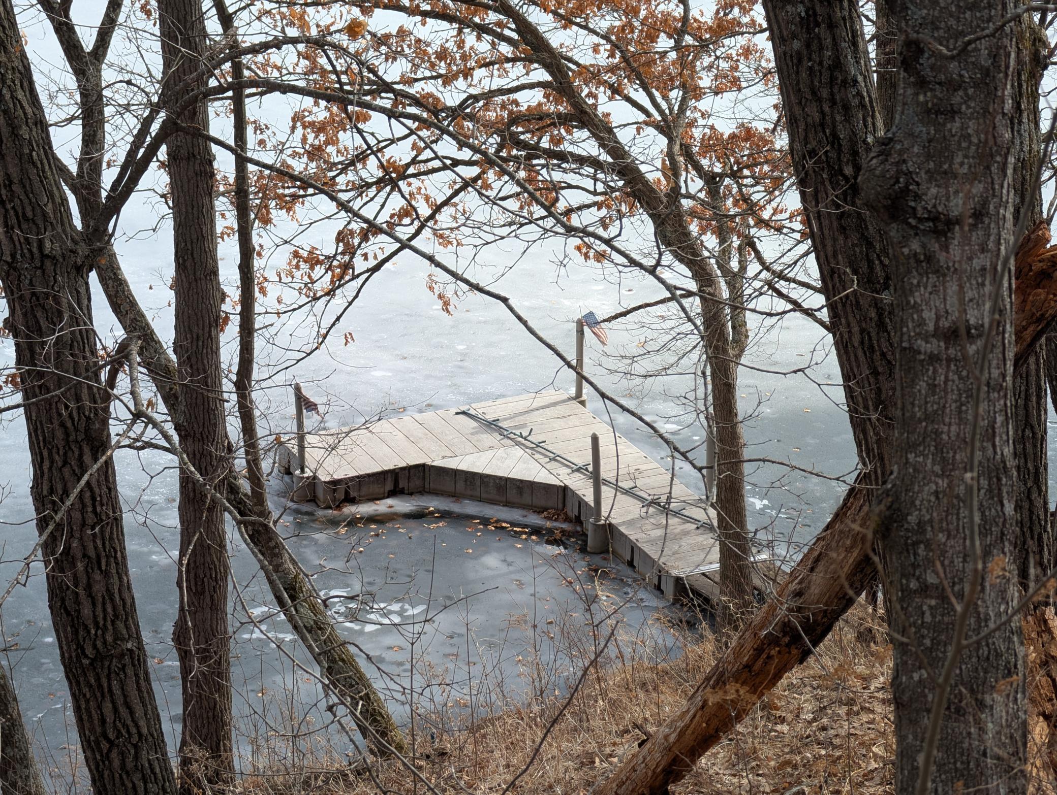 N1003 Deer Head Point Chetek, WI 54728 - Photo 4 of 29