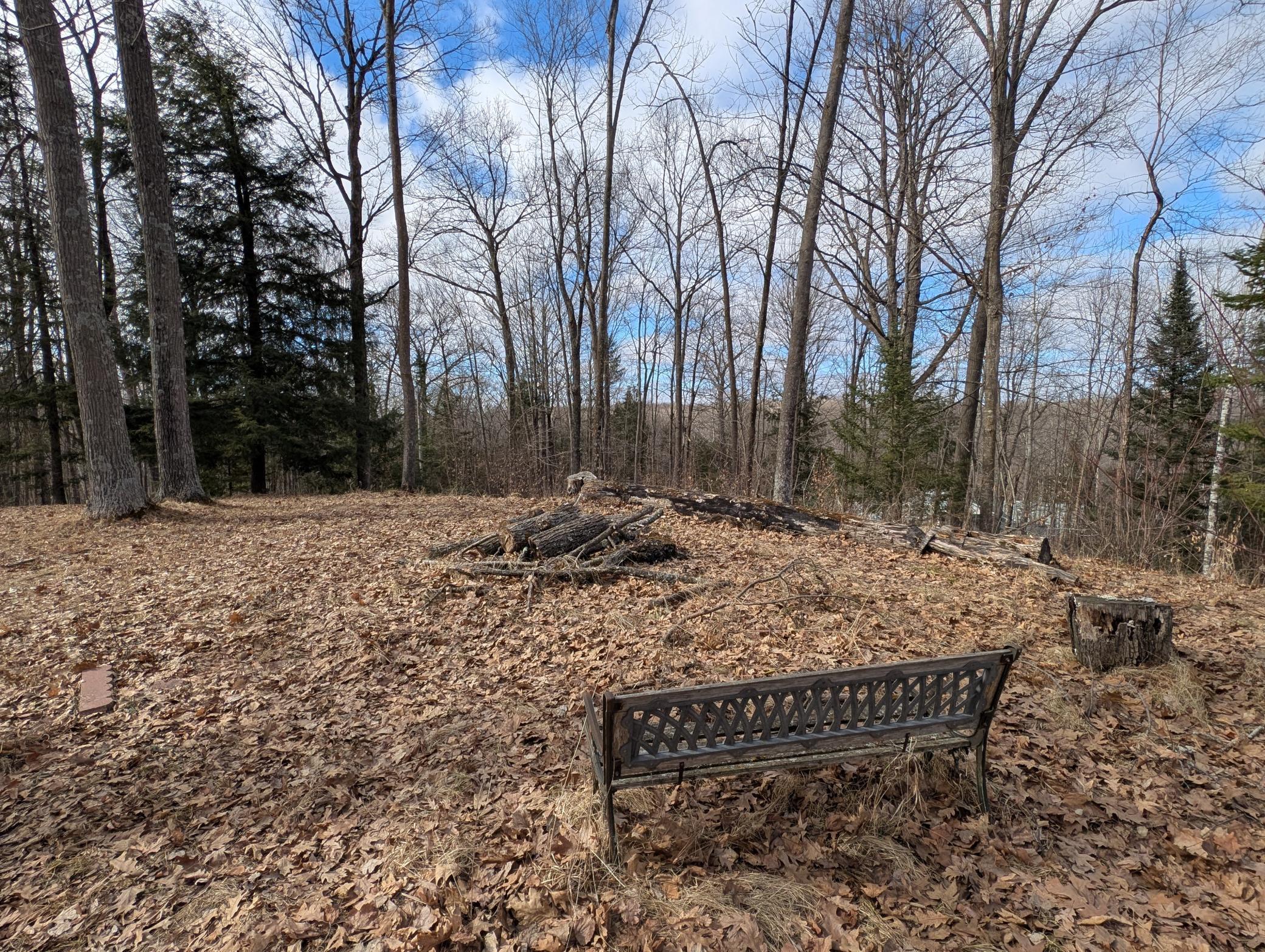 N1003 Deer Head Point Chetek, WI 54728 - Photo 5 of 29