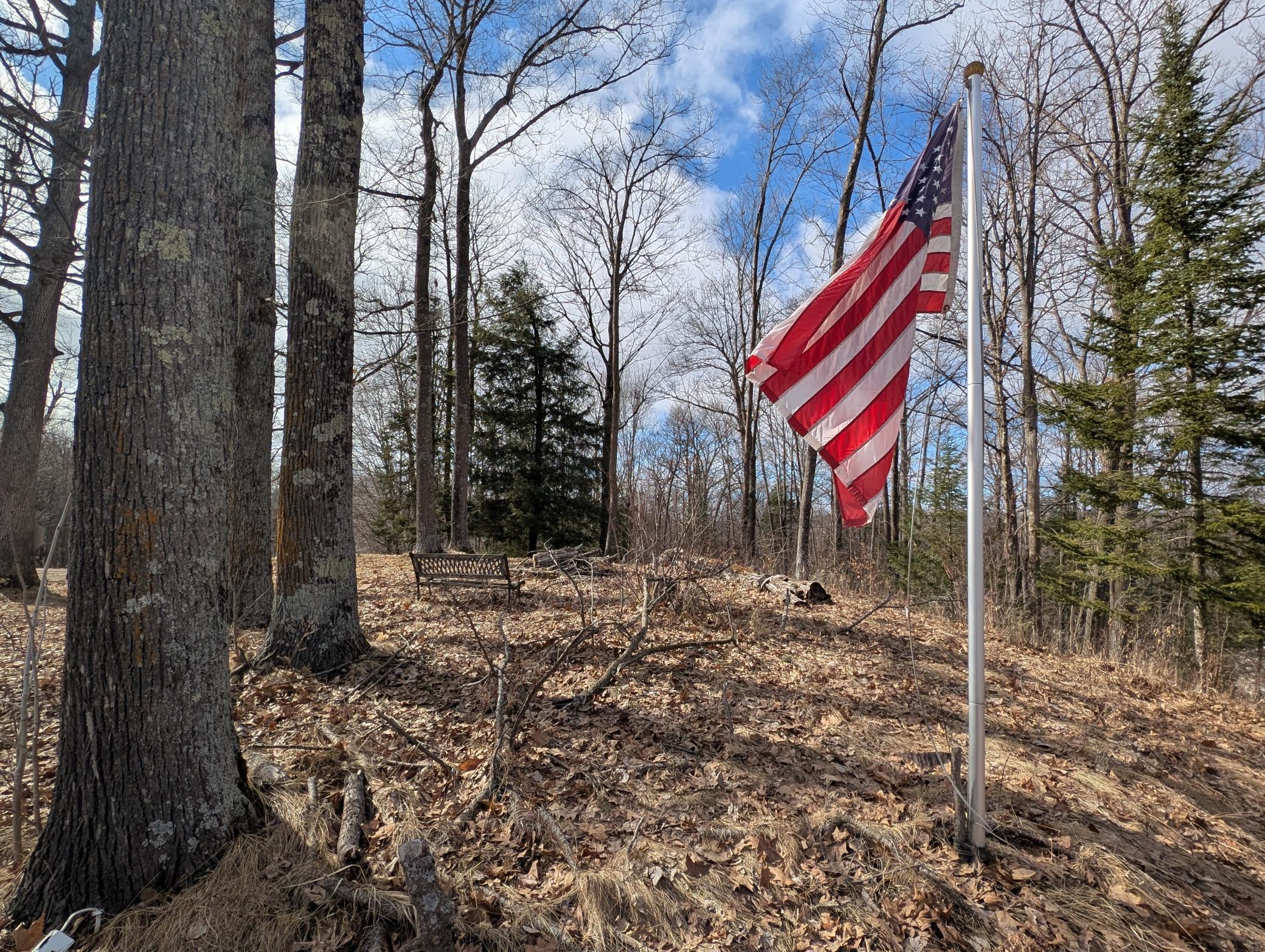 N1003 Deer Head Point Chetek, WI 54728 - Photo 6 of 29