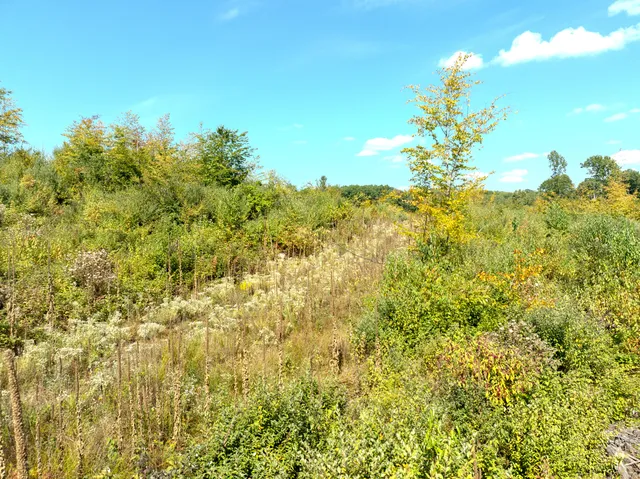 $182,000 | 6250 150th Avenue, Hersey, MI 49639