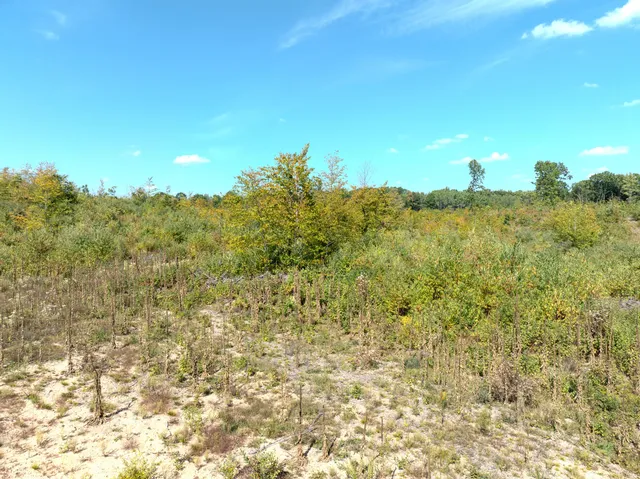 $182,000 | 6250 150th Avenue, Hersey, MI 49639