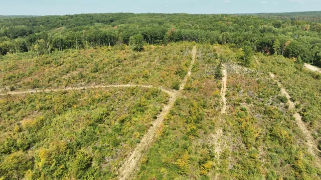 $182,000 | 6250 150th Avenue, Hersey, MI 49639