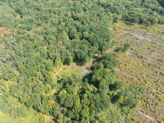 $182,000 | 6250 150th Avenue, Hersey, MI 49639